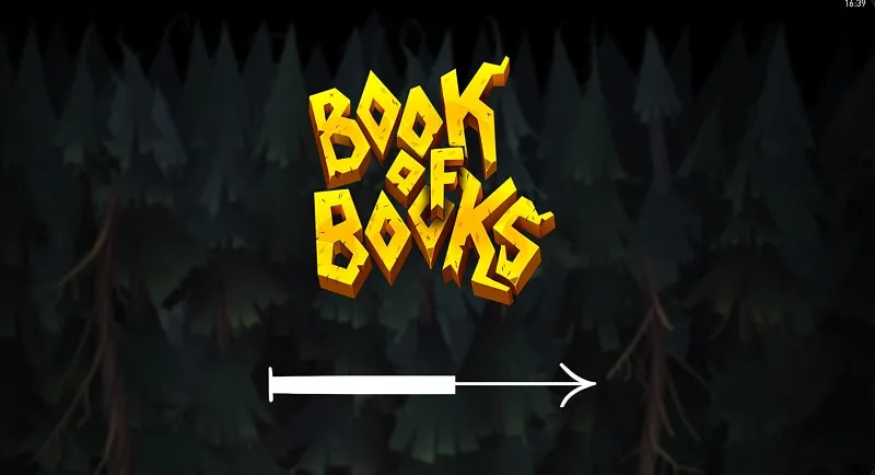 Bonusfunktionen von Book of Books