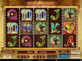 Book of Dead 1 win slot