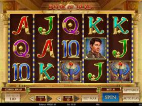 Book of Dead in online casino