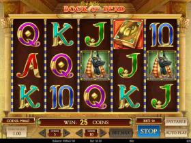 Slot Book of Dead Mostbet
