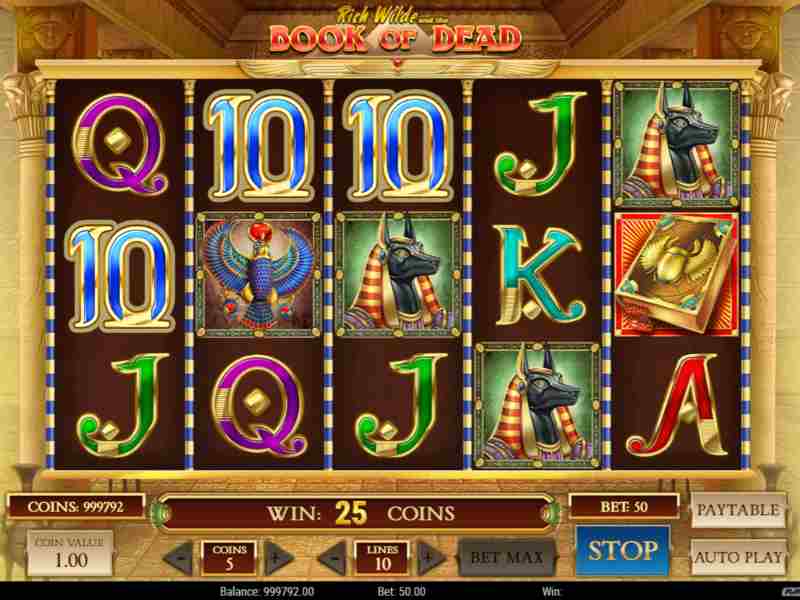 Players reviews about Book of Dead slot at an online casino