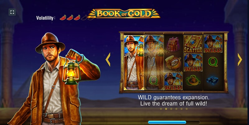 Играть бесплатно в Book of Gold